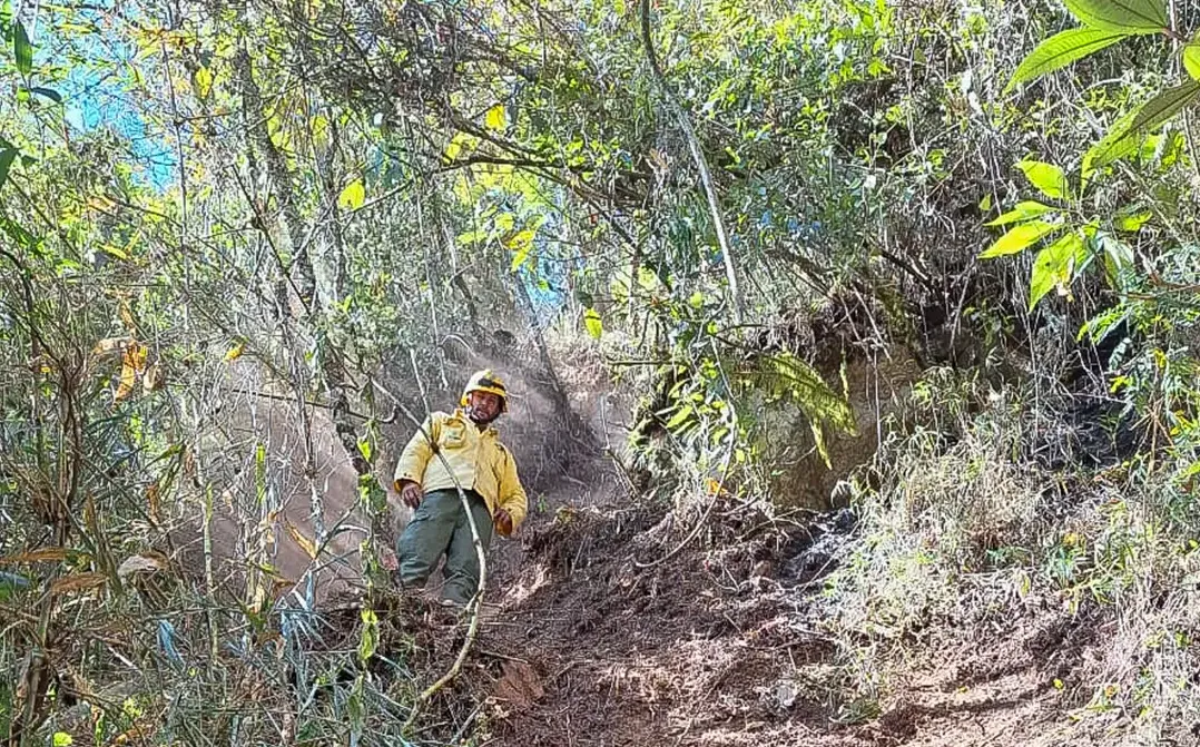 Imagem de compartilhamento para o artigo Incêndio no Parque Nacional do Itatiaia foi causado por fogareiro usado pelo Exército, conclui ICMBio da MS Todo dia